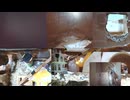 ファンシーラット観察記録⑥ 2026-04-20 22-19-08