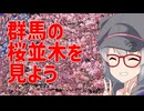 油冷りっか  5:群馬の桜並木を見よう！