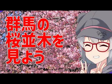 油冷りっか  5:群馬の桜並木を見よう！