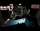 元ヤクザだけど沖縄でパパになる #38【龍が如く極3】