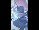 広有射怪鳥事～Till When? アレンジ「no doubt」（アルバム『Dream』teat. 東方妖々夢