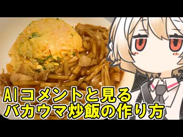 ルース炒飯【ナースロボ】