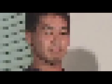 AIコメントはモザイク加工された野獣先輩を認識できるのか？