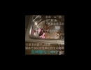 バッタ(伊勢海老)