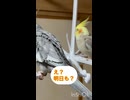 デジャヴ？