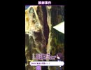 体調不良の時にぼんやり眺めてたエビの話！！