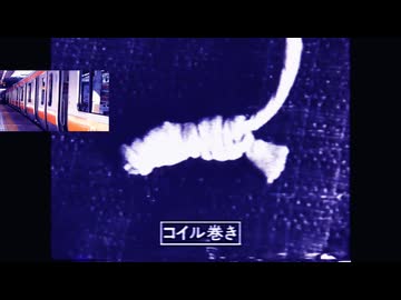 冤罪工作連合国軍