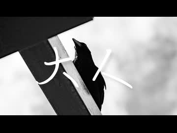大人/鴉音(cover)
