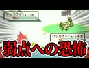 【実況】最初に出会ったポケモンで旅をするポケモンエメラルド#4
