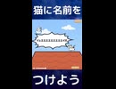 【急募】猫の名前