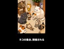 【トモコレわくわく生活】Miiニュース「ネコの集会、開催される」近藤勇