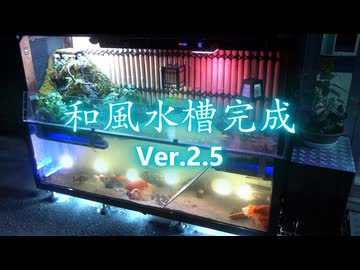 自作　和風水槽 Ver2.5 アクアリウム　Aquarium