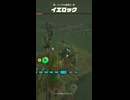 【ティアキン】ハイラル城西のイエロック ゼルダの伝説ティアーズオブザキングダム