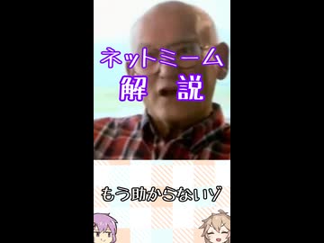 ゆかつむネットミーム解説【もう助からないゾ】