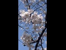 【KAITO】花【文部省唱歌】