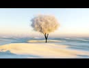 【夢ノ結唱rose】SKY-HIGH