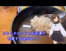 【和歌山Vlog】川を掘ると温泉！？川湯温泉と世界遺産のつぼ湯へ行ってきた→翌日はカイロスロケット見学会場へ【AIみずき実況】