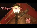 東京点描：『道』【癒し】