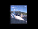 戦闘機の踊り子