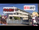 【VOICEROID実況】泣く子も黙るほーちゃんサタン【シャドバビヨンド】