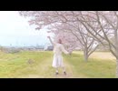 【さくらみか】春裏々 踊ってみた【踊オフ2026】