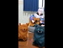ギターに合わせて踊ってみよう