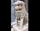 クセ強すぎる狛犬 #07｜この顔、経験ある