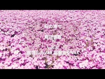 桜の海で/巡音ルカ,初音ミク