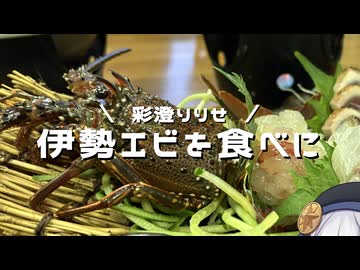 【彩澄りりせ】伊勢エビの町由岐【Vlog】