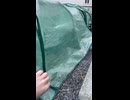 【家庭菜園】種から育てた苗が可愛い！畑への引越し準備編□