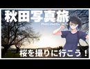 【AIキャラコメテスト】桜を撮ってきた時の動画。