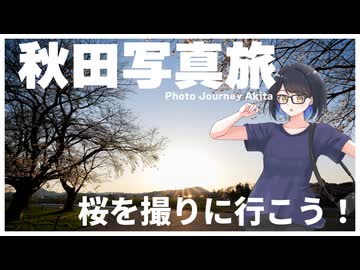 【AIキャラコメテスト】桜を撮ってきた時の動画。