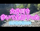 過去動画を再投稿してAIコメント機能を確認してみる（sm44383001大井川全下降のやつ）