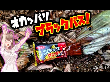 ブラックサンダールアーでブラックバスを釣る！【VOICEROIDフィッシング】【バスアングラーささらちゃん！】