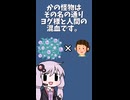 神話生物と単語ダイスで決めて一分でシナリオ作る #10【ヨグ＝ソトースの息子＆もえこひ編】