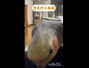 本能のままに