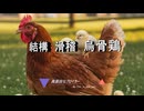 真面目なブロイラー / 一本のペン
