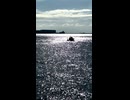 キラキラ輝く海面を眺める in 神戸 - 2025年12月15日 (Short video)