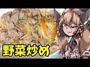 健康的な野菜炒めです。【ナースロボ タイプＴ】