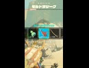 【ティアキン】東ゲルドのモルドラジーク ゼルダの伝説ティアーズオブザキングダム