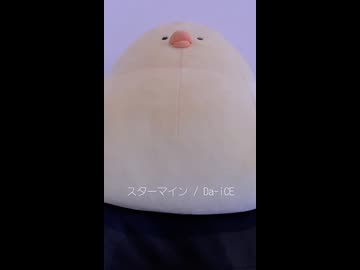 スターマイン / Da-iCE (acapella cover)