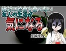 【友達の生活を覗き見ようと付いて行ったら一生モノのトラウマを抱えちゃった系怖い話】絶対に給食を食べない不気味な友人Sとその母親