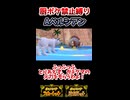 【厨ポケ禁止縛り】使用率圏外のAペルシアンで伝説環境を引っ掻き回せ！！