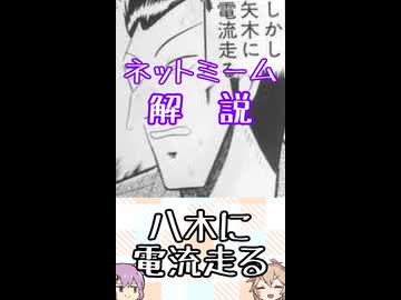 ゆかつむネットミーム解説【八木に電流走る】