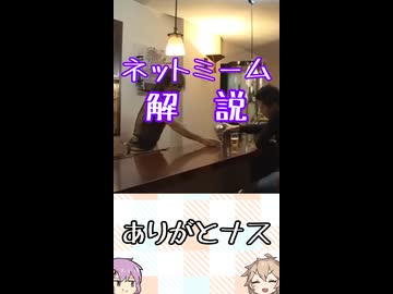 ゆかつむネットミーム淫夢ネタ解説【ありがとナス】