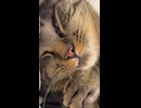 意識があやしいゆき
