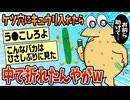 【2ch面白スレ】尻の穴にキュウリ入れたら中で折れたんやがwww【ゆっくり解説】