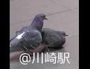川崎市民の日常