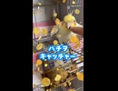 【オカメインコ】【設定ミス】取らせる気ゼロな景品（インコ）がこちらですｗ