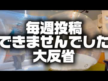 【踊ってみた】チルノのパーフェクトさんすう教室【林檎酢】